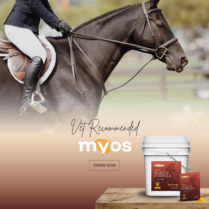 MYOS Equine Muscle Formula - 30 Servings Bucket with Individual Serving Packs