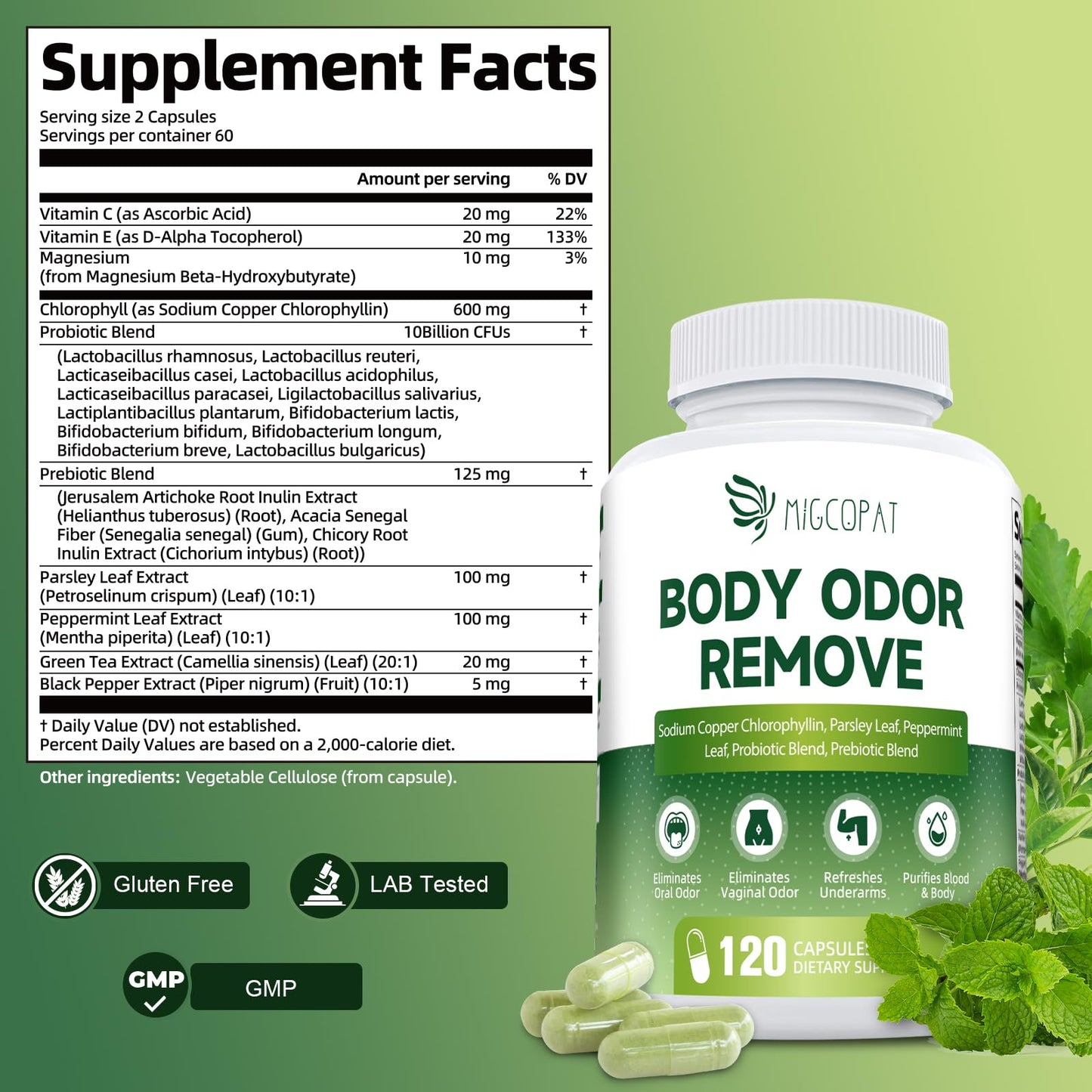 Chlorophyll Body Deodorizing Supplement, Chlorophyll Capsules with Parsley & Peppermint, Probiotic, Green Tea, Jerusalem Artichoke, Prebiotic, Supports Fresh Breath & Whole-Body Freshness, 120 Caps