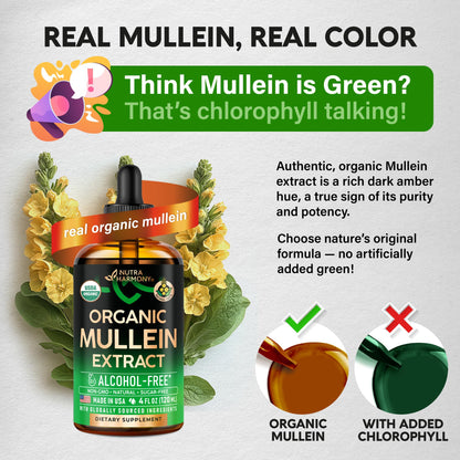 Mullein Drops for Lungs - USDA Organic Liquid - Mullein Leaf Extract Supplement - for Women & Men - Lung & Bronchial Cleanse for Smokers - Respiratory Health Support - As Tincture, Tea, Pills - 4 oz