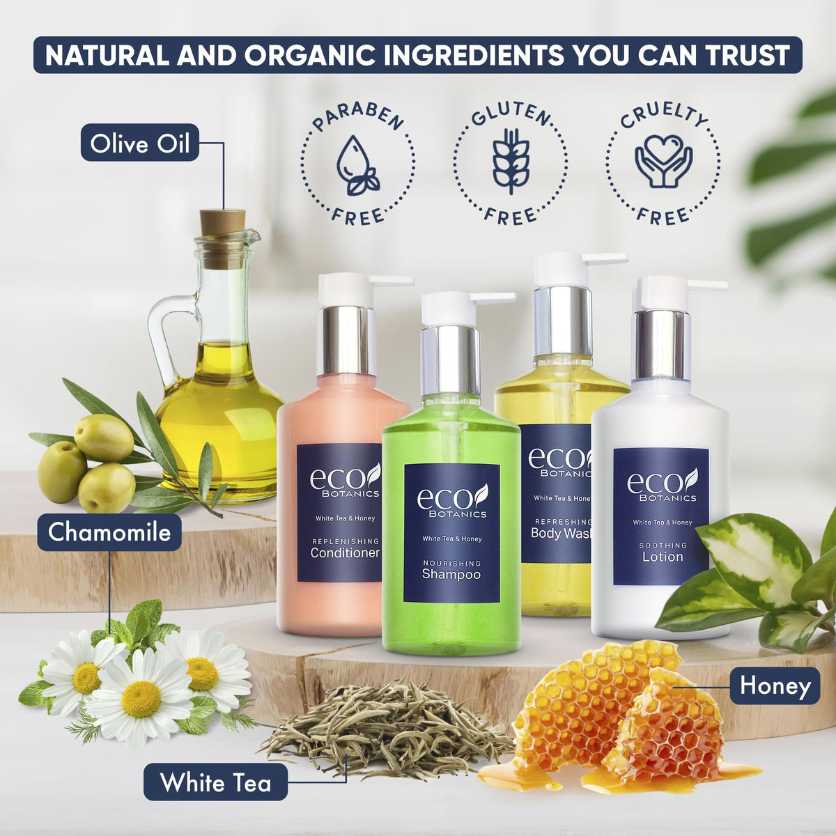1-Shoppe Eco Botanics 20 Piece Ecobox All-In-Kit | White Tea and Honey Soap