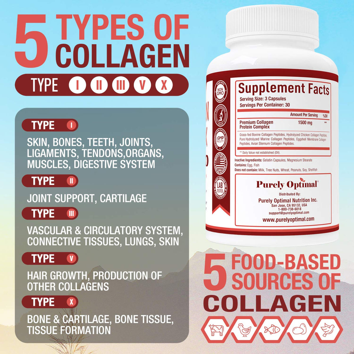 Purely Optimal Premium Multi Collagen Peptides Capsules (Types I, II, III, V, X) - Hair