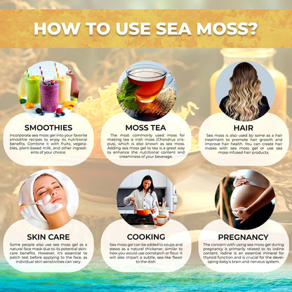 WELLNESS LABSRX Irish Sea Moss Gel Raw - Wildcrafted Superfood Seamoss Gel - Pineapple Mango Flavor, Vitamin and Mineral-Rich from Pristine Caribbean Waters - 10 oz.