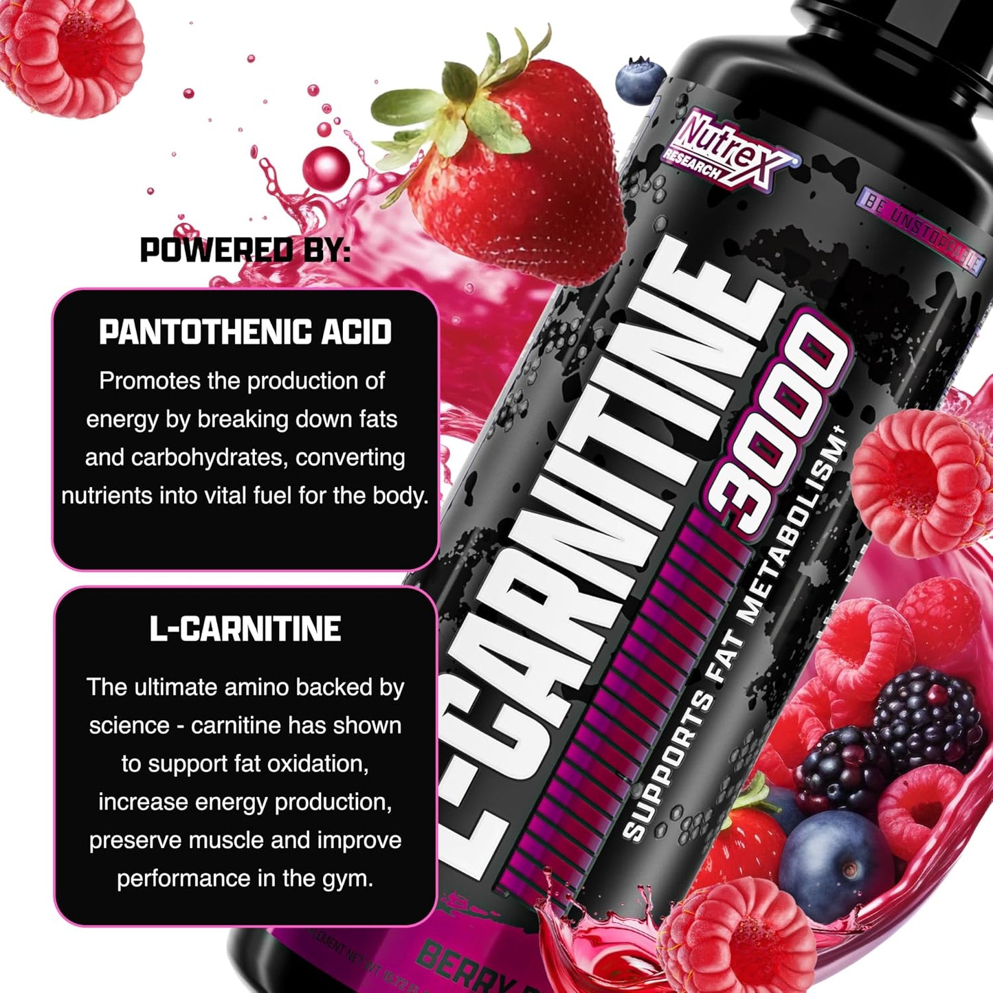 Nutrex Research Lipo-6 Defining Gel & L-Carnitine 3000 | Stimulant-Free Body Support & Workout Companion | Fast-Absorbing Topical Gel + Liquid L-Carnitine