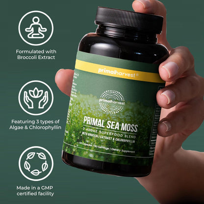 Primal Harvest Sea Moss – Daily Vegan Supplement, Dairy & Soy Free