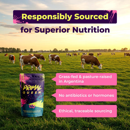 Primal Queen Beef Organ Superfood, Grass-Fed Liver Kidney Heart for Women | Female-Optimized Blend of 6 Pasture-Raised Organs for Hormone Balance, Energy and Vitality; 3rd-Party Tested