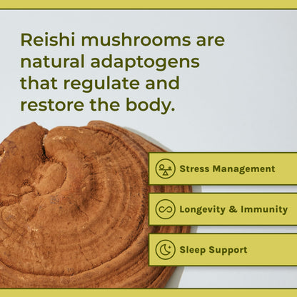 Naturealm - Reishi Capsules - Reishi Extract Restores Mind and Body - Improves Sleep