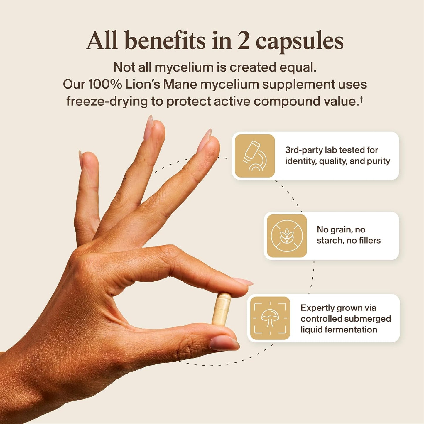 Real Mushrooms Real Mycelium – Standardized Lion’s Mane Mycelium Capsules with 5mg Erinacine A (ErinaPrime) – Pure Hericium Erinaceus Supplement for Focus, Memory, & Mental Clarity – (60 Count)