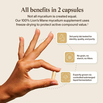 Real Mushrooms Real Mycelium – Standardized Lion’s Mane Mycelium Capsules with 5mg Erinacine A (ErinaPrime) – Pure Hericium Erinaceus Supplement for Focus, Memory, & Mental Clarity – (60 Count)