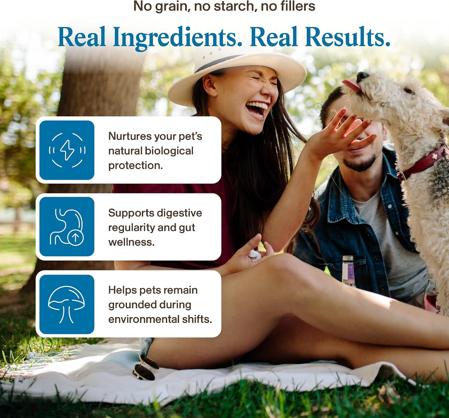 Real Mushrooms Whole Dog Health – Functional Mushroom Blend for Dogs with Lion’s Mane, Cordyceps, Turkey Tail, Reishi, Shiitake for Overall Wellbeing of Dogs – 2.65 oz Powder Supplement