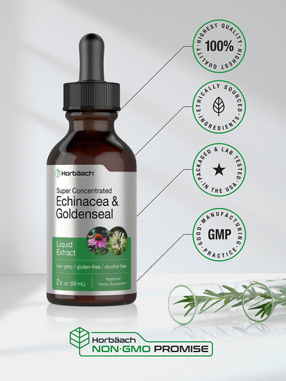 Echinacea Goldenseal Liquid Extract | 2 fl oz | Alcohol Free Tincture Drops | Vegetarian