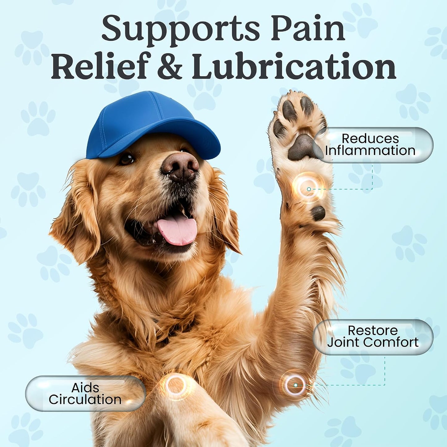 Doggie Herbs Ruff Joints Powder- Advanced Hip & Joint Support for Dogs- Glucosamine, Devil's Claw & Meadowsweet- Mobility & Stiffness Supplement- Pure Active Formula, No Fillers- TCM Doctor Formulated