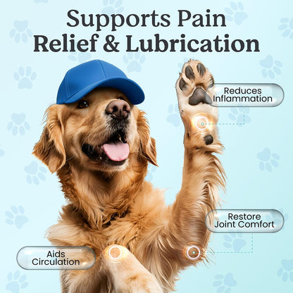 Doggie Herbs Ruff Joints Powder- Advanced Hip & Joint Support for Dogs- Glucosamine, Devil's Claw & Meadowsweet- Mobility & Stiffness Supplement- Pure Active Formula, No Fillers- TCM Doctor Formulated
