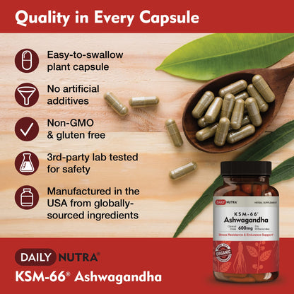 DailyNutra KSM-66 Ashwagandha 600mg Organic Root Extract - High Potency Supplement