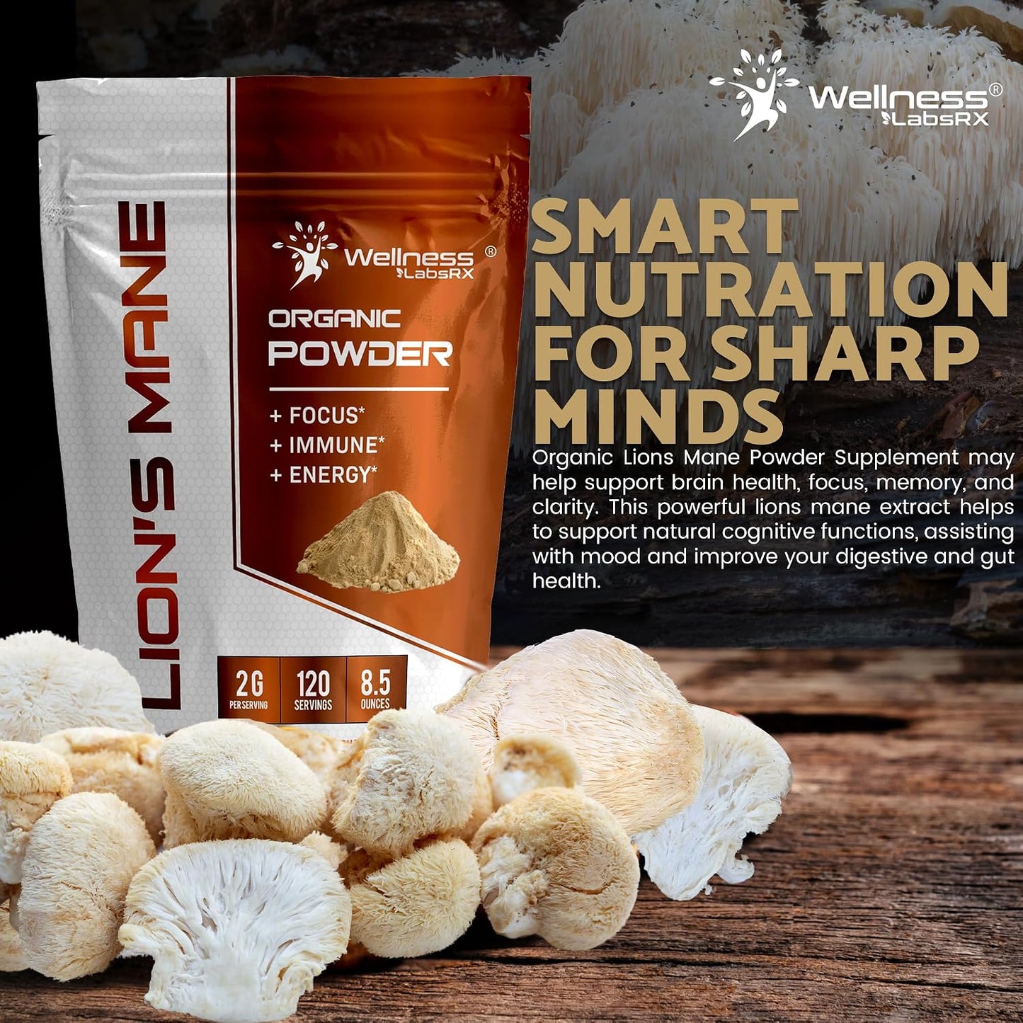 WELLNESS LABSRX Lions Mane Powder, Mushroom Supplement - 2000mg - Lions Mane Supplement - Lion's Mane Mushroom Powder Brain Supplements for Memory and Focus, Immune Support and Health - 120 Servings