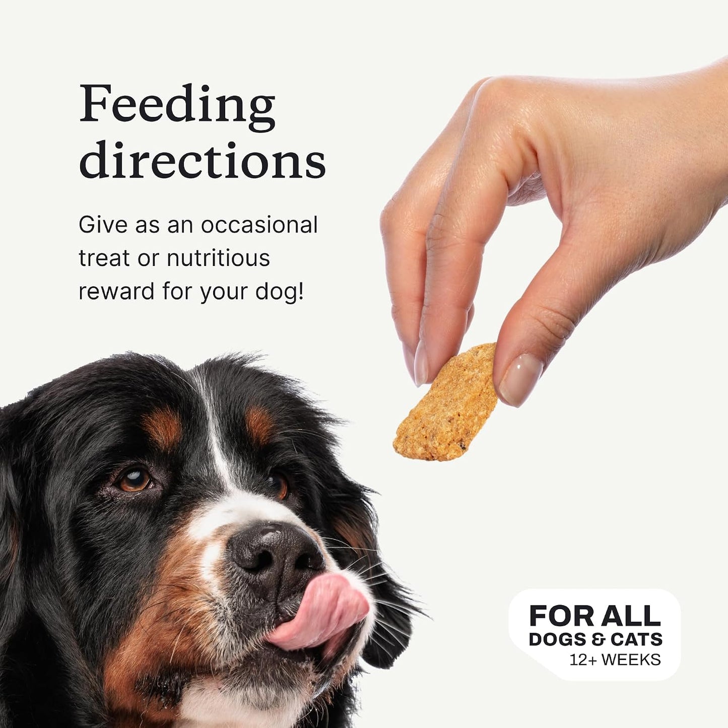 PetLab Co. Salmon Bites Dog Treats, Freeze-Dried, 3 Ounce | Single-ingredient, wild-caught salmon to support skin, coat and joint health in a grain-free reward