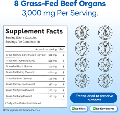 Grass Fed Beef Organ Supplement 3000mg (8 Organs) - Bone Marrow, Thymus, Liver, Heart, Kidney, Trachea, Spleen, Lung - Freeze-Dried - 120 Capsules (30 Servings)