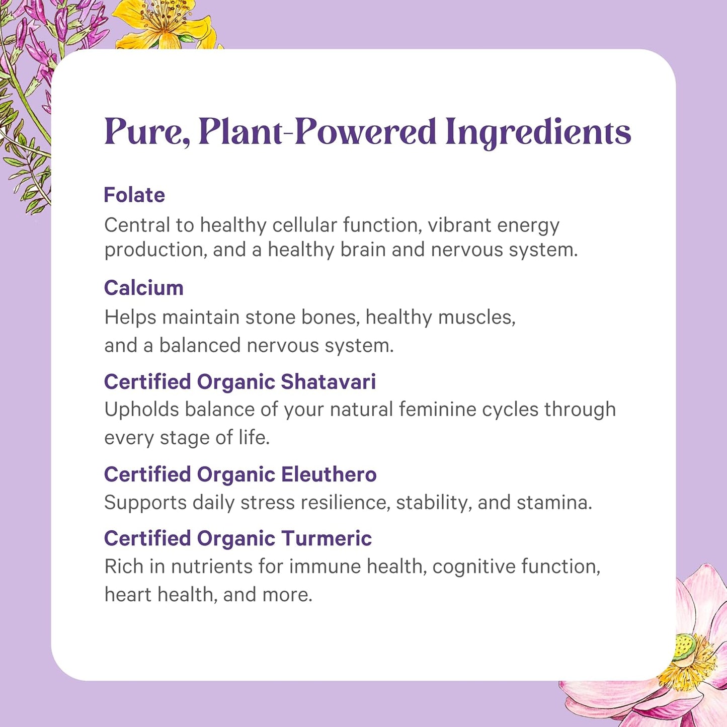 PURE SYNERGY Vita·Min·Herb for Women | Women’s Comprehensive Multivitamin Supplement | Made with Organic Whole Food Non-GMO & Vegan Ingredients | Supports Energy & Immune Health (120 Tablets)