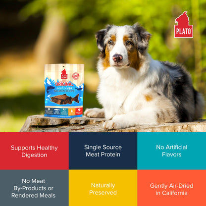 Plato Real Strips Salmon Recipe Dog Treats, Air-Dried High-Protein Soft Strips, Omega-Rich Skin & Coat Support, 18 oz