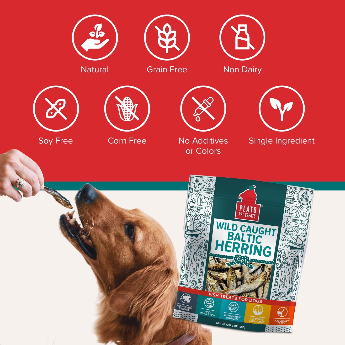 Plato Single Ingredient Wild-Caught Baltic Herring Dog Treats, Air-Dried Whole Fish, Omega-Rich Skin & Coat Support, 8.5 oz