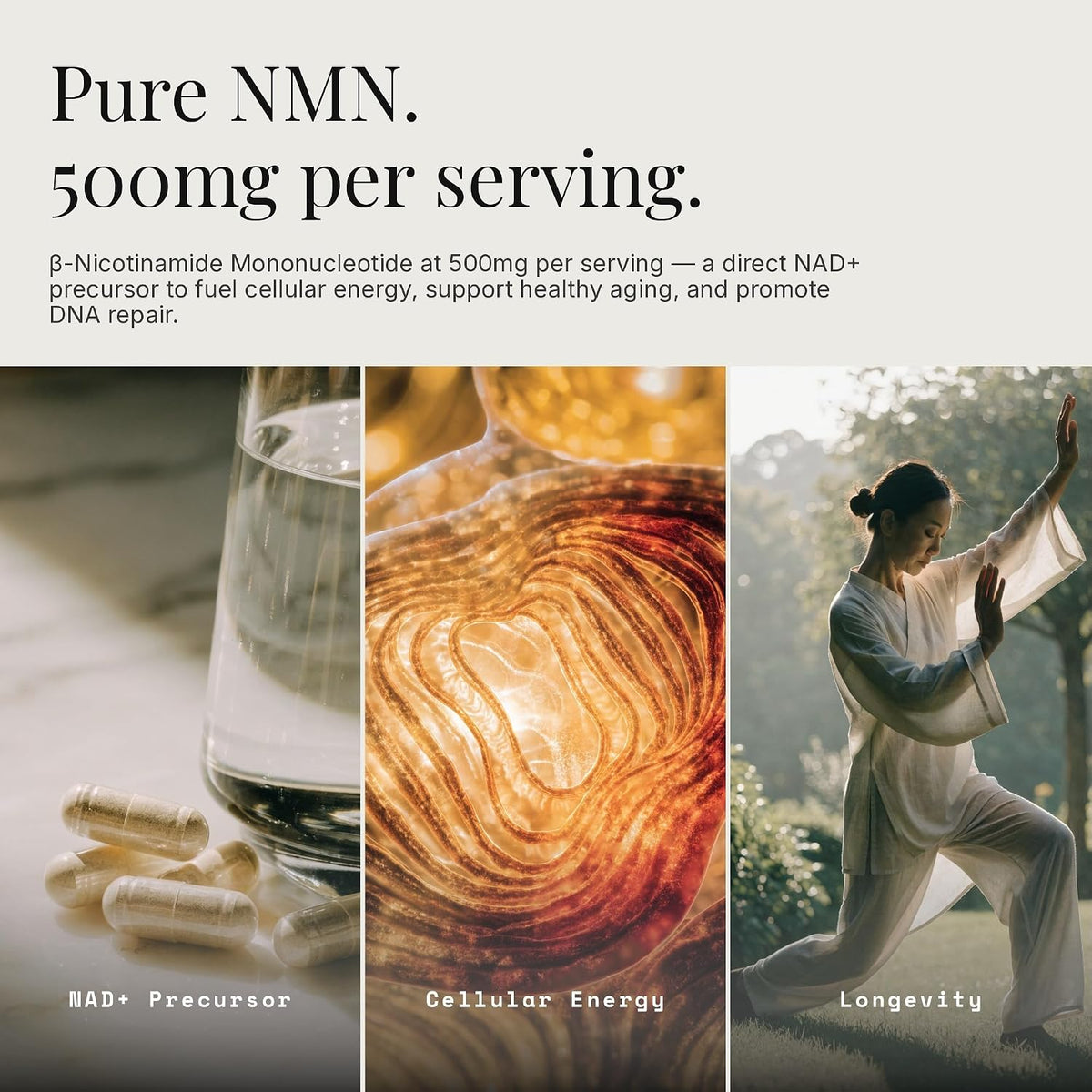 NMN 500mg - Nicotinamide Mononucleotide NAD+ Precursor Supplement, 60 Capsules, 30 Servings, Vegan, Non-GMO, Gluten Free, Made in USA