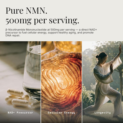 NMN 500mg - Nicotinamide Mononucleotide NAD+ Precursor Supplement, 60 Capsules, 30 Servings, Vegan, Non-GMO, Gluten Free, Made in USA