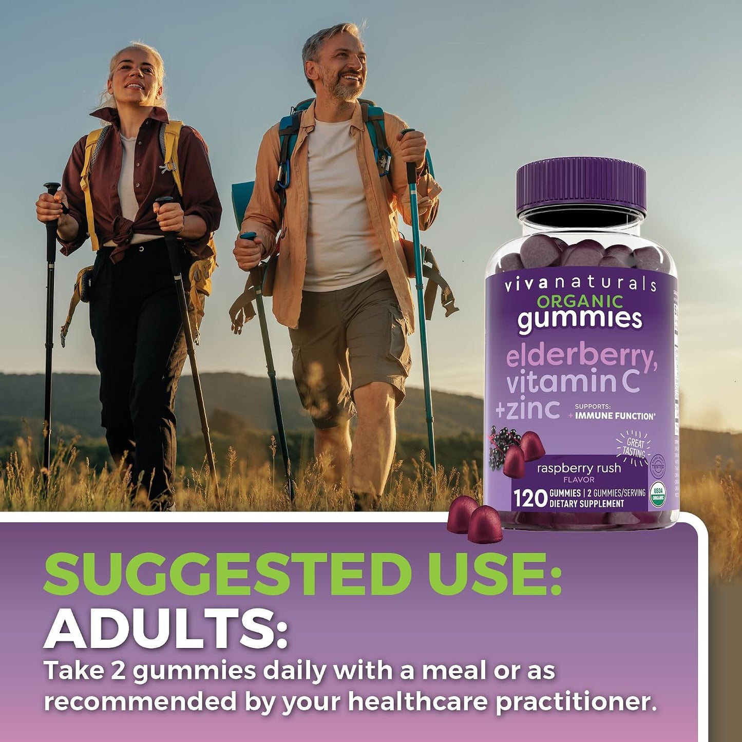 Viva Naturals Black Elderberry Vitamin C and Zinc Immune Support Gummies for Adults, Sambucus Elderberry Gummies with Raspberry Rush Flavor, USDA Organic, Non-GMO, (120 Count)