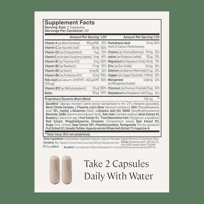 Stonehenge Health Dynamic Brain + Dynamic Turmeric Bundle Supports: Memory Acquisition, Retention, & Recall