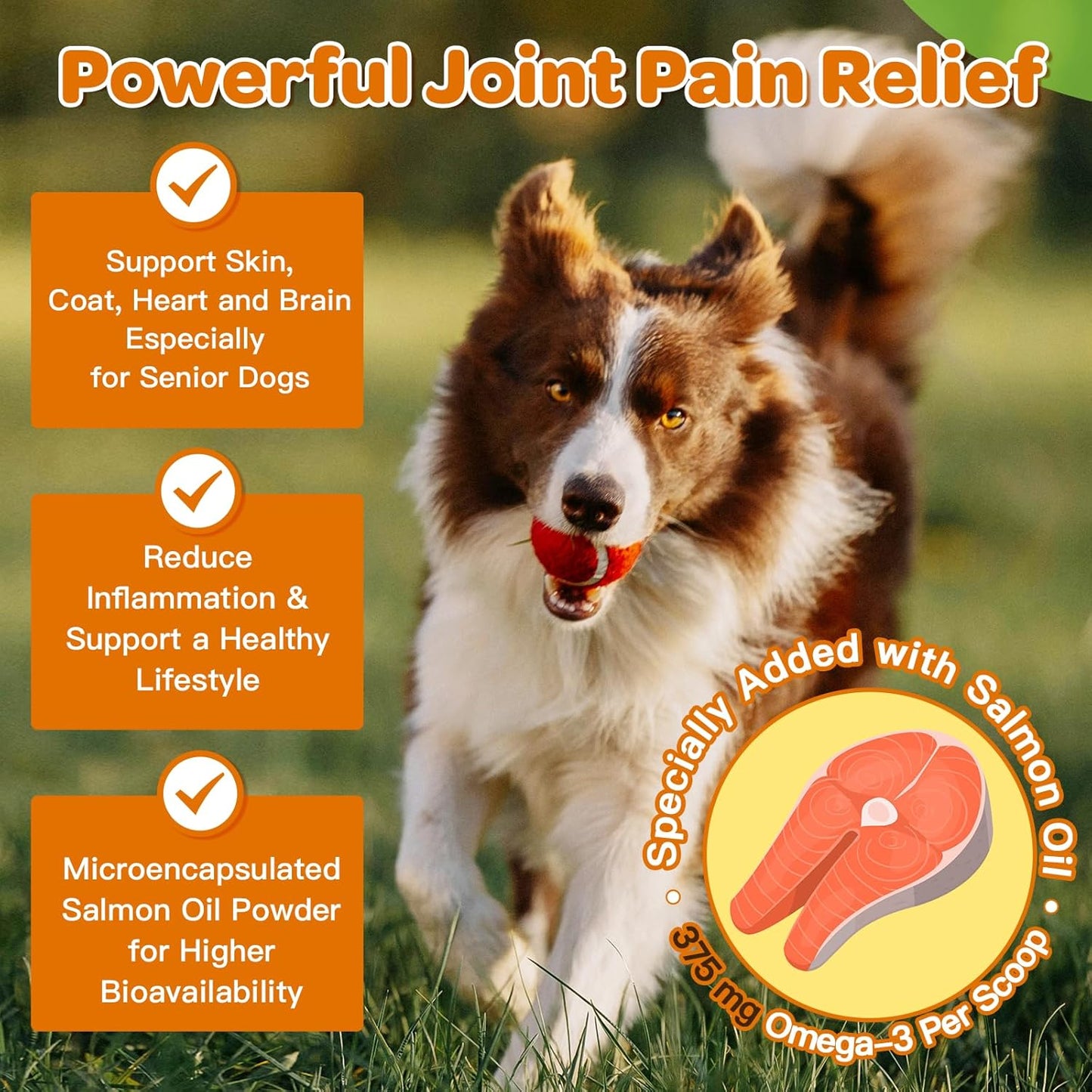 NATURE TARGET Glucosamine for Dogs Powder, Hip & Joint Supplement, 9.52 oz | With Chondroitin, MSM, Turmeric & Omega 3, Supports Hip & Joint Mobility, Joint Pain Relief, for Small, Medium & Large Breeds