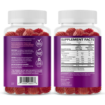 Elderberry Gummies for Kids with Vitamin C & Zinc, Berry, 30 Servings | Vegan, Non-GMO, Gluten Free Immune Support for Children, Daily Defense with Antioxidants & Essential Nutrients, 60 Count