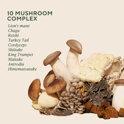Om Master Blend Mushroom Capsules - Organic Mushroom Supplement with 10 Mushrooms and Ashwagandha – Supports Immunity, Gut Health & Stress Relief, 168 Count (56 Servings)