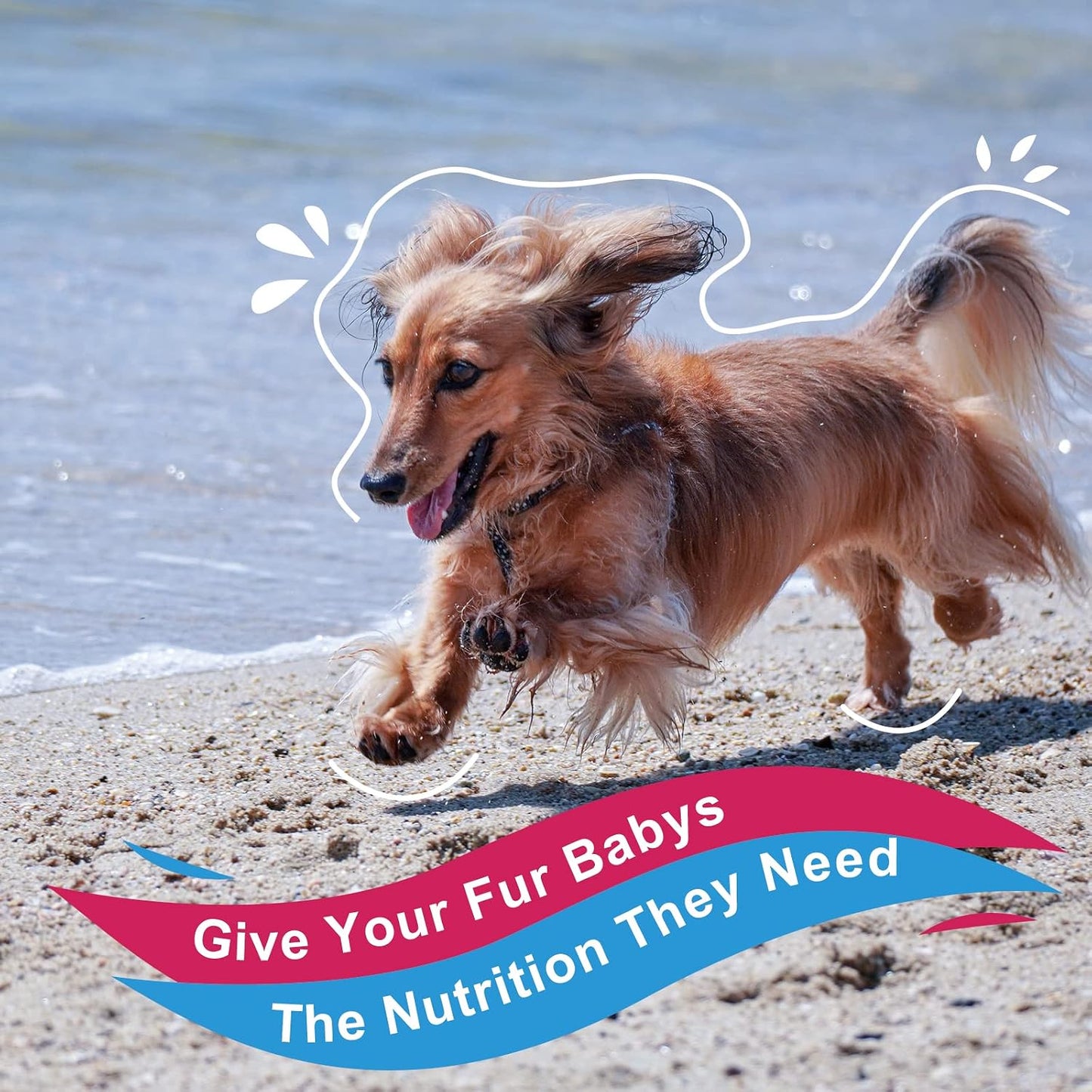 NATURE TARGET Dog Vitamins Powder, Probiotics & Digestive Enzymes for Gut Health, Glucosamine & Chondroitin & Omega 3, Complete Supplement for Homemade Dog Food, Joint & Skin & Immune Support | Probiotics & Digestive Enzymes for Gut Health, Glucosamine &