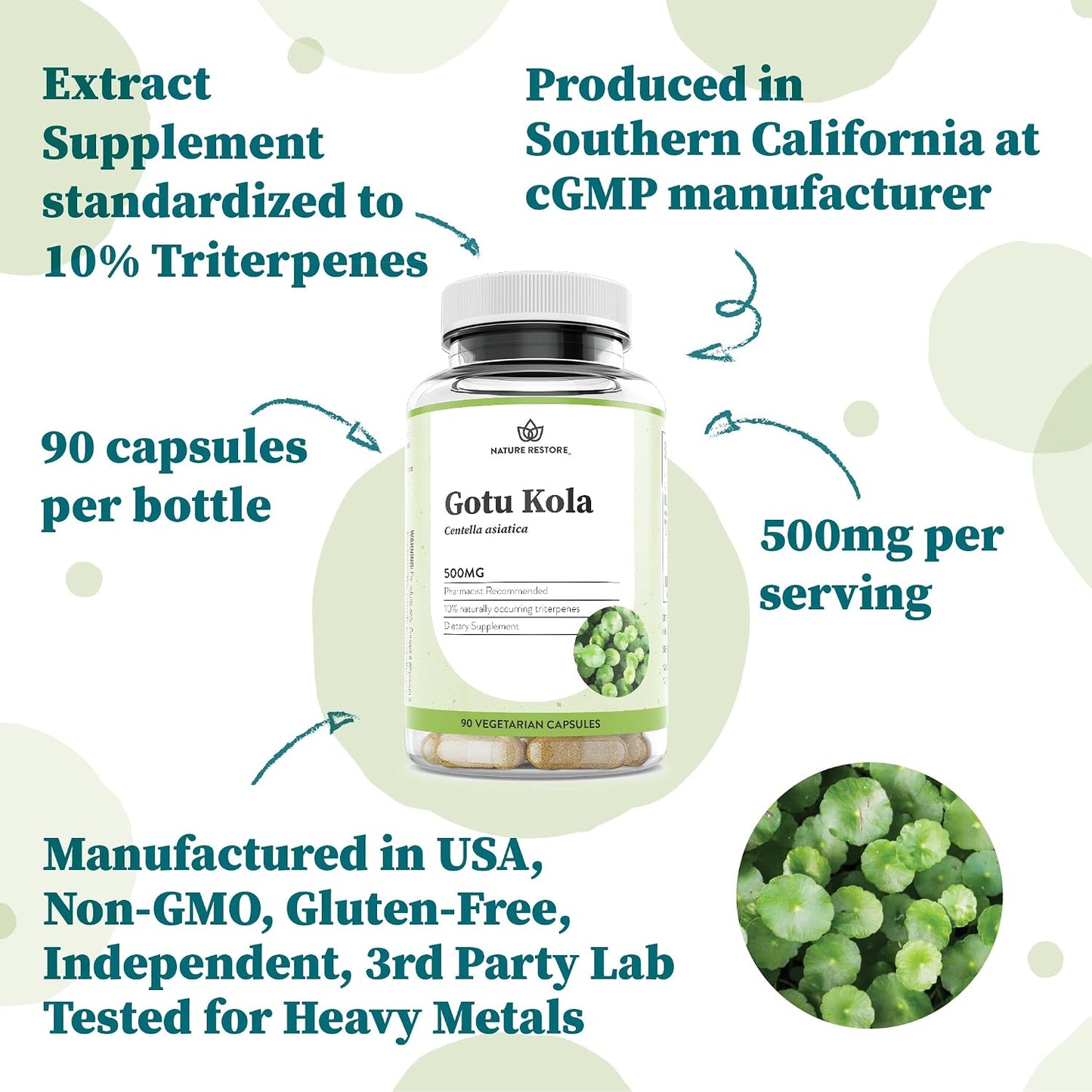 Nature Restore Gotu Kola Extract Supplement. Standardized to 10% Triterpenes - Maximum Potency 500mg Adaptogen for Brain Focus, Memory, Healthy Leg Circulation & Skin Elasticity - 90 Vegan Capsules