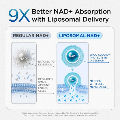 NAD Supplement for Men – Liposomal NAD+ NMN Alternative Nitric Oxide Prostate Health Supplements with Resveratrol, CoQ10, L Citrulline and Lycopene for Anti-Aging & Cellular Energy Support 60 Capsules