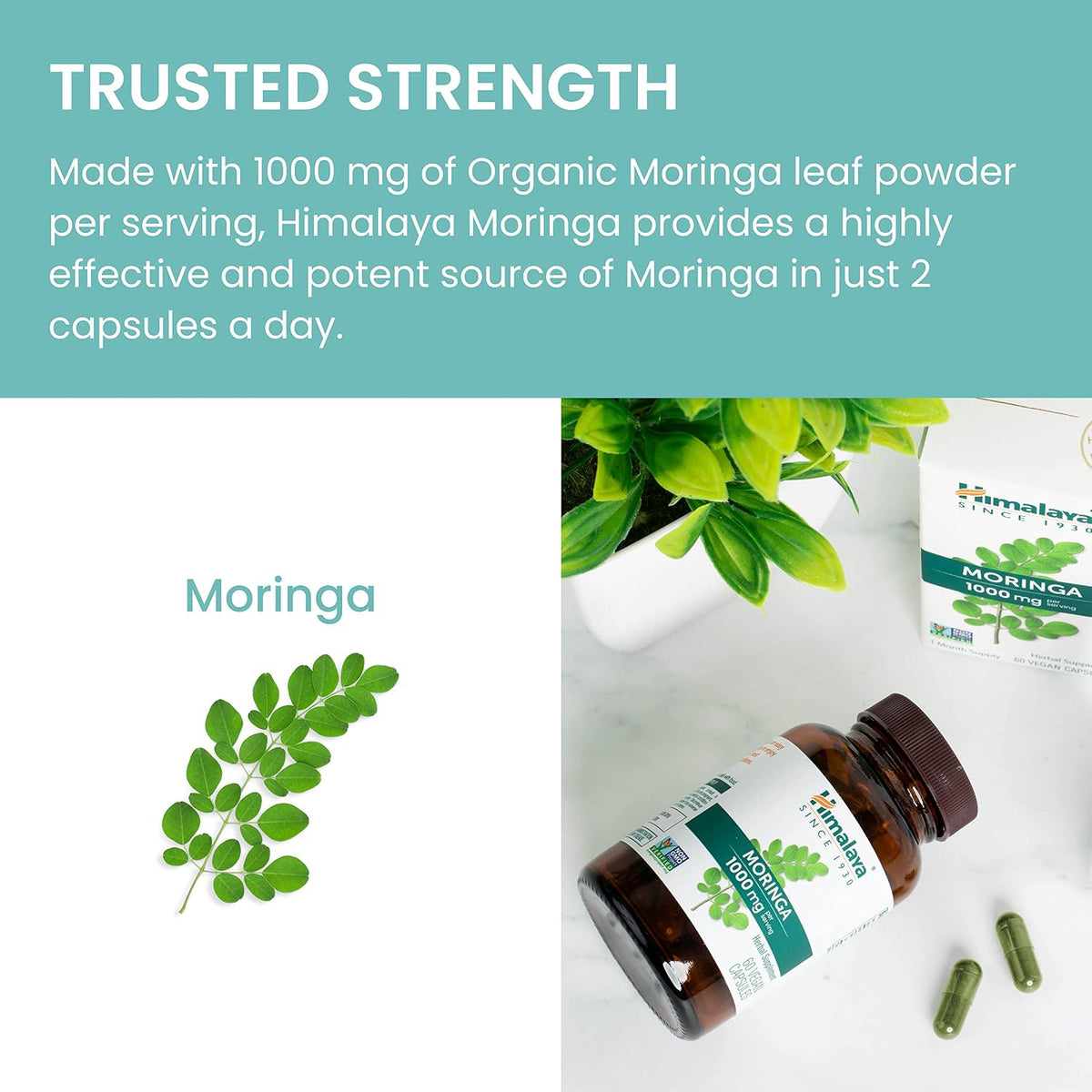 Himalaya Organic Moringa capsules - Moringa Supplement, Herbal Superfood Antioxidants Supplement Supporting Wellness, Vitality, and Oxidative Stress - Vegan, Non-GMO, Gluten Free, 1000 mg, 60 Capsules