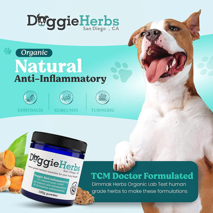 Natural Anti-Inflammatory Support – Clinical Grade Corydalis, Curcumin & Turmeric Blend – TCM Doctor Formulated Powder for Stiffness, Aches & Hip Dysplasia Relief 100g