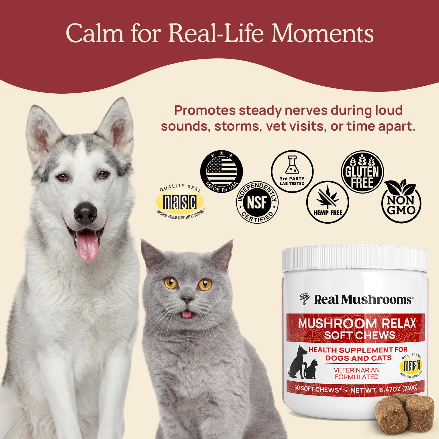 Real Mushroom Immune Pet Chews – For Daily Digestive & Immune Health – Mushrooms for Dogs & Cats Functional Treat – Mushroom Supplement for Dogs & Cats – 1 to 4 Chews For All Breeds & Sizes (60 Count)