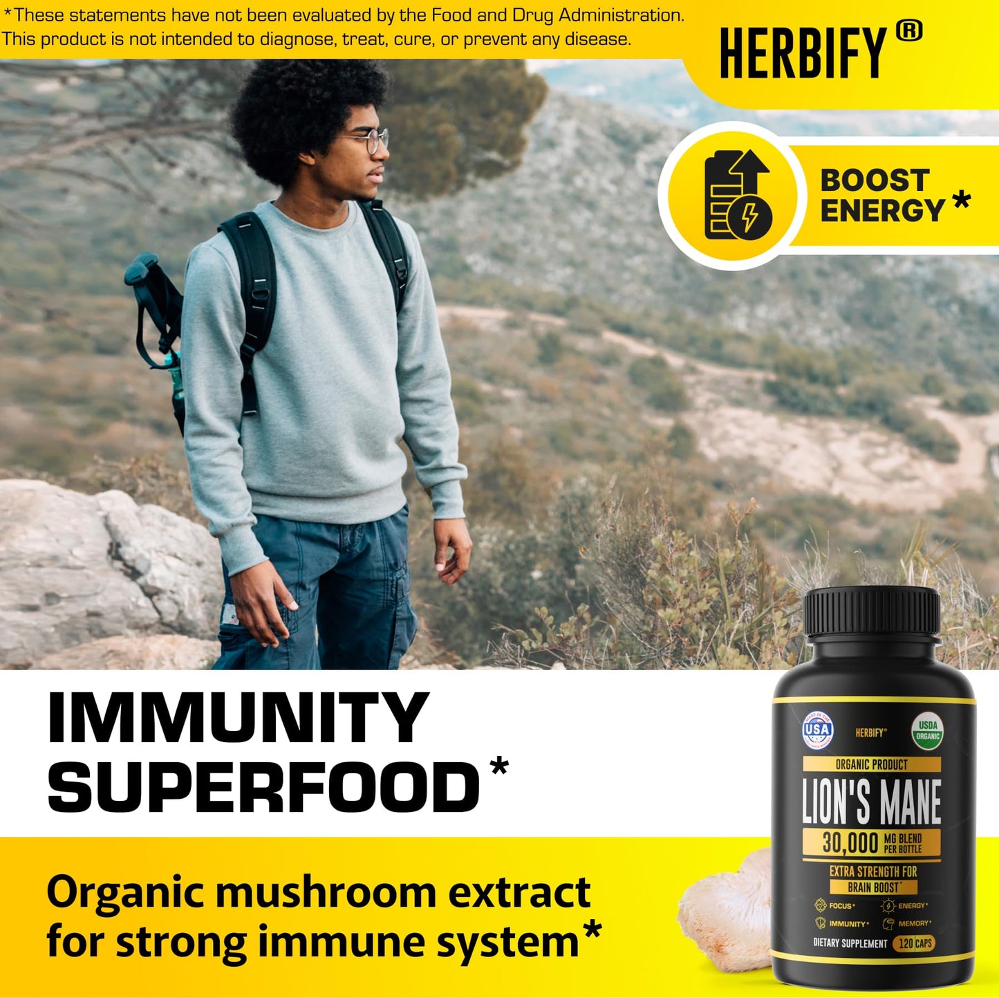 HERBIFY Lions Mane Supplement - Daily Mushroom Supplement for Memory, Focus & Clarity - Brain Booster - Lions Mane Tincture for Immune Support - 4 Fl oz