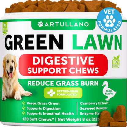 No Poo Chews for Dogs - Coprophagia Stool Eating Deterrent - Stop Eating Poop Treats with Probiotics, Digestive Enzymes, Pumpkin - Prevent Dog, Puppy from Eating Poop - Gut Health Support Supplement