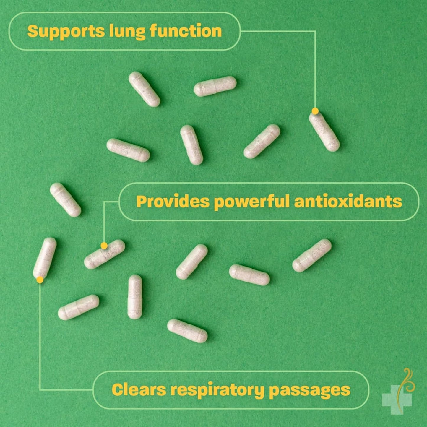 Redd Remedies Adult Sinus Support, 72 Capsules, and Lung Care, 80 Capsules