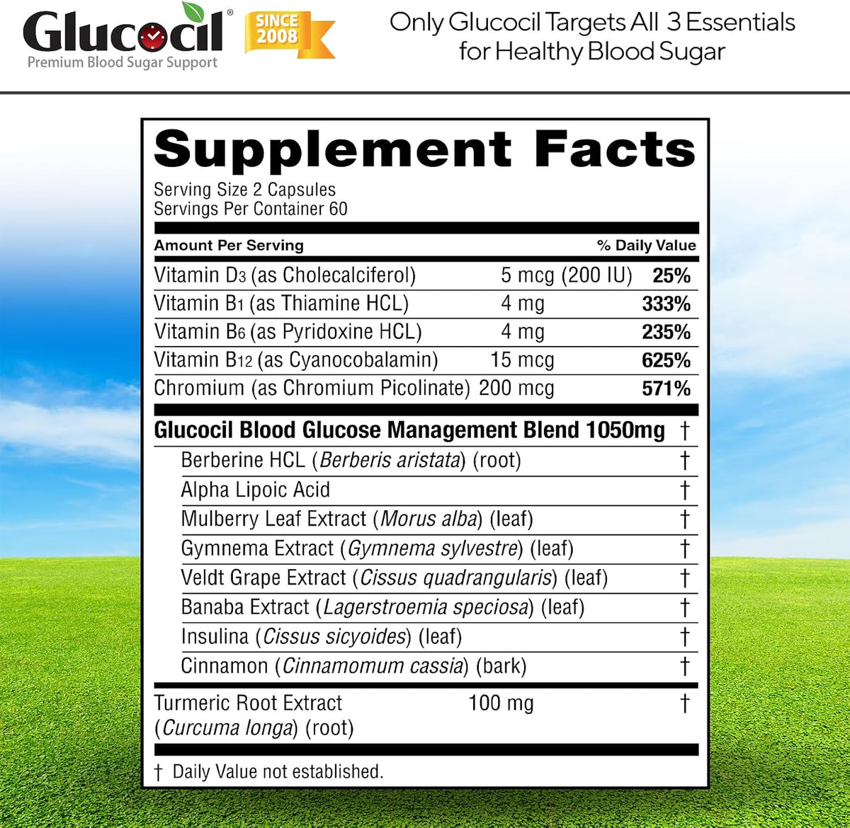 Glucocil – Vegetarian Capsules - Premium Blood Sugar Support - Supports the 3 Essentials for Healthy Blood Sugar - with Berberine, Proprietary Mulberry Leaf, and More