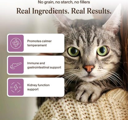 Real Mushrooms Cat Supplement Powder – Organic Mushroom Blend with Antarctic Krill & Ashwagandha – Cat Vitamins for Older Cats or Kittens – 2.65 oz Functional Feline Formula