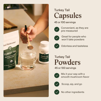 Real Mushrooms Turkey Tail Capsules – Organic Mushroom Extract for Daily Wellness, Gut Harmony, Energy Support – Vegan, Non-GMO, No Fillers – Turkey Tail Extract 200 Count Mushroom Supplement