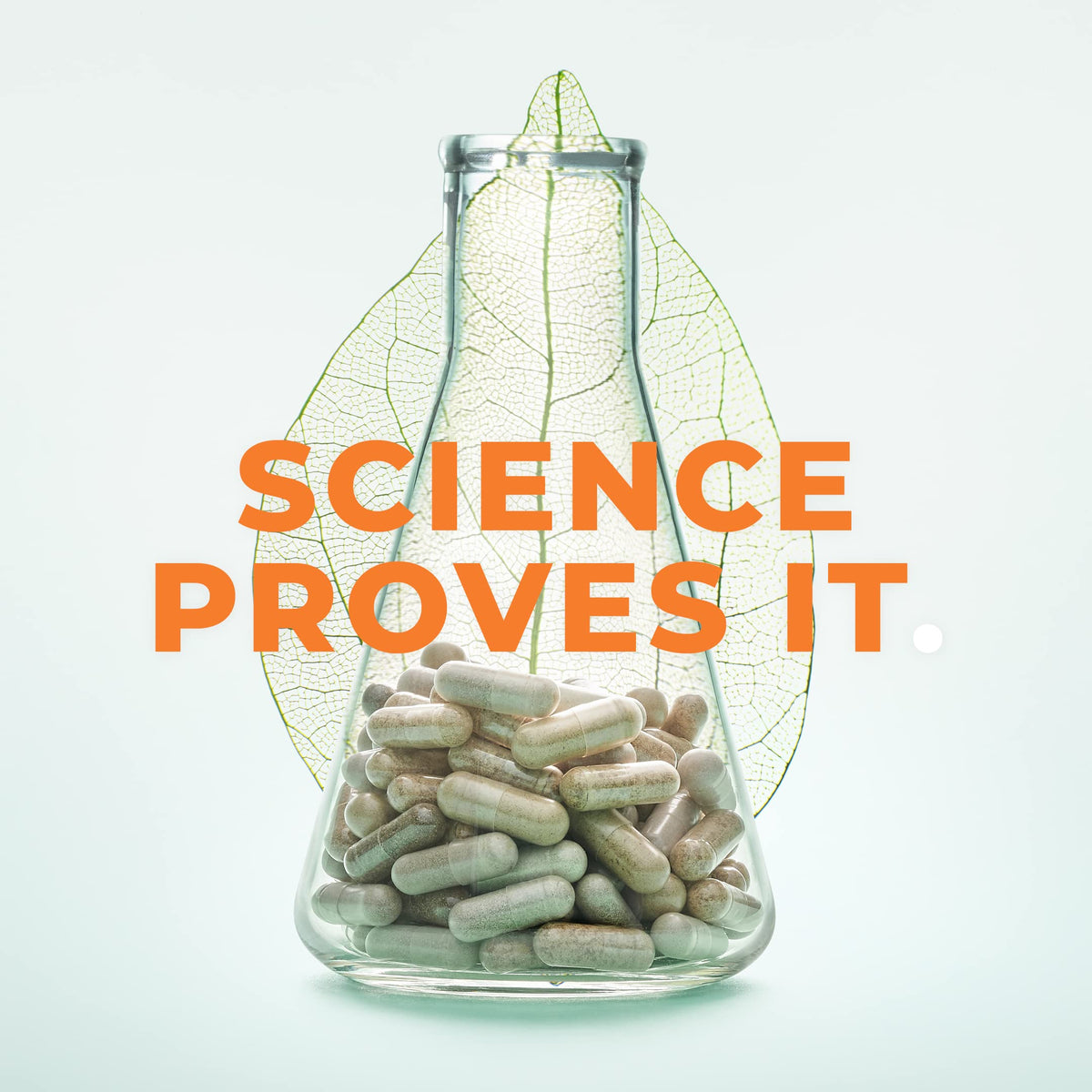 PreMense-T - PMS Relief Supplement - Ginger, Cramp Bark, Black Cohosh, Dong Quai, Chasteberry & Vitamin B6
