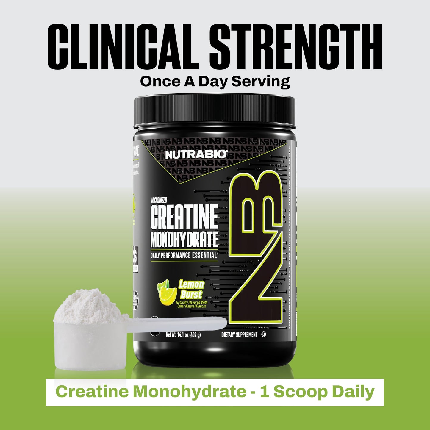 NutraBio Pure Micronized Creatine Monohydrate Powder Supplement, Unflavored, (300 g) - Supports Bulk Muscle Energy, Recovery, and Strength - HPLC Tested Creatine Powder Supplement for Men and Women