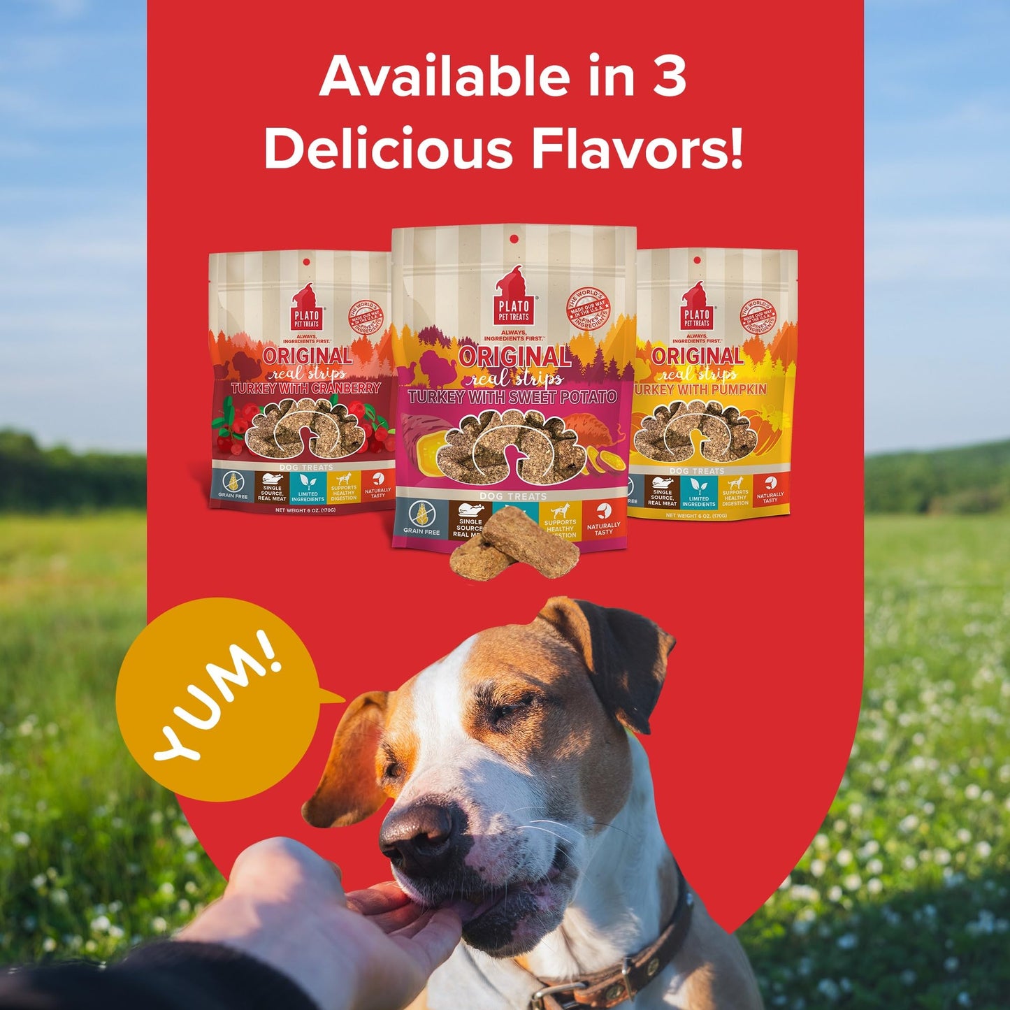 Plato Real Strips Salmon Recipe Dog Treats, Air-Dried High-Protein Soft Strips, Omega-Rich Skin & Coat Support, 18 oz