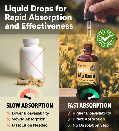 All-Natural Mullein Drops with Ginger & Lemon for Lung Cleanse and Detox, Mullein Leaf Extract for Respiratory Lung Health & Detox for Smokers, 2 Fl oz