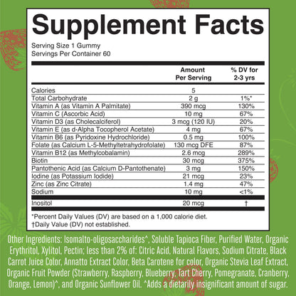 MARYRUTH'S Kids Vitamins | Multi | Sugar Free | 2 Month Supply | Kids Multivitamin Gummies for Ages 2+ | Vegan | Only 1 Gummy a Day | 60 Count