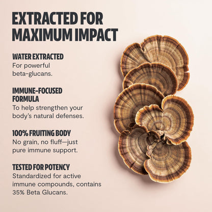 FreshCap Mushrooms Premium Organic Lions Mane Capsules - 14:1 Fruiting Body Extract with 31% Beta-Glucans - 3rd-Party Tested Nootropic for Clarity, Focus & Cognitive Support (120 Capsules)