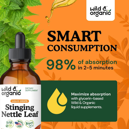 Wild & Organic Stinging Nettle Leaf Tincture - Urinary Tract Support - Stinging Nettle Extract Liquid Drops - Urtica Dioica Supplement - 5-Month Supply - Vegan, Sugar & Alcohol-Free - 4 fl oz