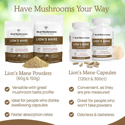 Real Mushrooms Vitamin D2, Zinc, Chaga, Reishi (120ct) and Lion's Mane (300ct) Bundle - Immunity and Cognitive Support, Chelated Zinc for Improved Absorption - Vegan, Gluten Free, Non-GMO